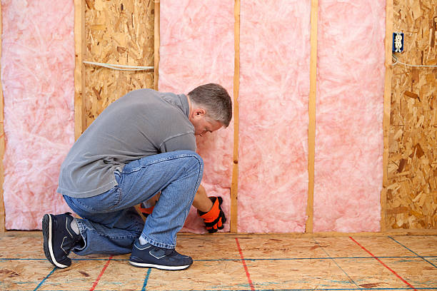 Best Professional Insulation Contractor  in Pine Mountain Lake, CA