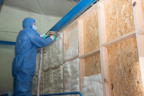 Best Spray Foam Insulation  in Pine Mountain Lake, CA